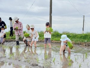 もえもん田植え②