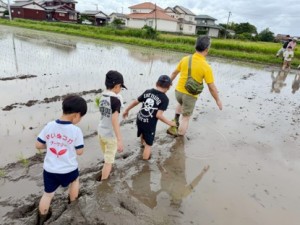 もえもん田植え⑥
