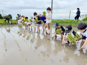 もえもん田植え⑦